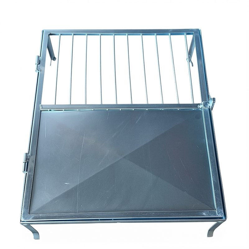 Protetor de Padrão 1 (800x800)